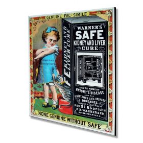 Warner's Safe Kidney and Liver CureWarner's Safe Kidney and Liver Cure