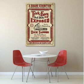 Trick & Fancy Pool Shots