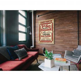 Trick & Fancy Pool Shots