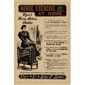Horse Exercise at Home