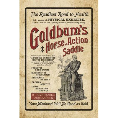 Goldbums Horse Action Saddle