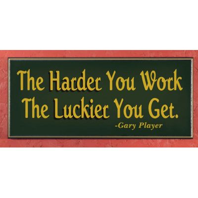 THE HARDER YOU WORK (4007DS )