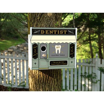 Dentist Birdhouse (Q523)